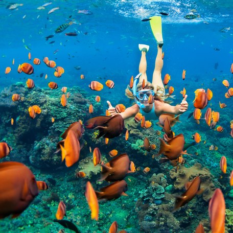 A female snorkeller underwater in the Bahamas, surrounded by orange fish