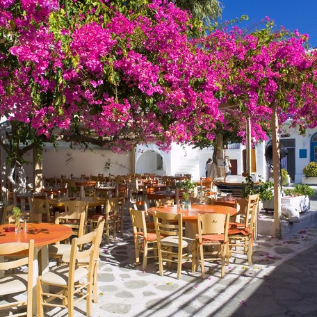 Alfresco dining layout in Mykonos set in a small square, with tables arranged under pink flowers