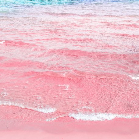 Close up view of pink sand on the island of Eleuthera, the Bahamas