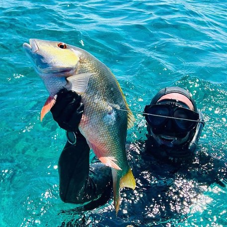 Diver in blue water holding up fish 