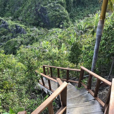 Wooden steps down through jungle to the lagoon 