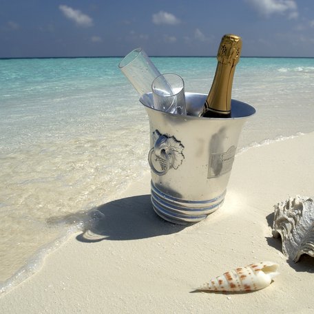Champagne bucket sitting on a deserted beach in the Maldives