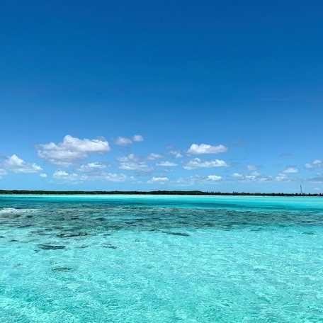 Turquoise water at the reef