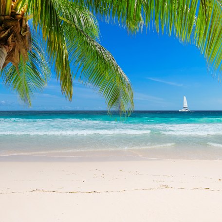 A deserted sandy beach in the Caribbean