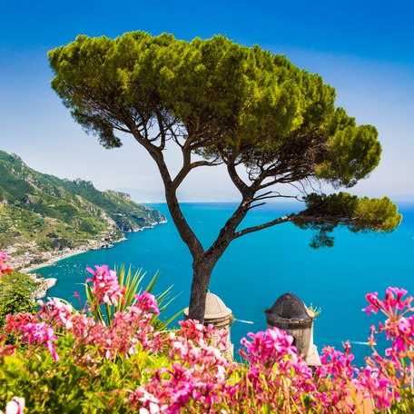 A tree perched on a cliff edge overlooking the sea in the West Mediterranean