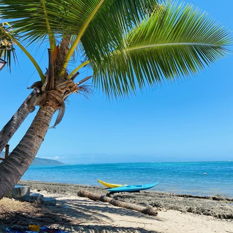 Tahiti - Toaroto Beach kayaks palm trees