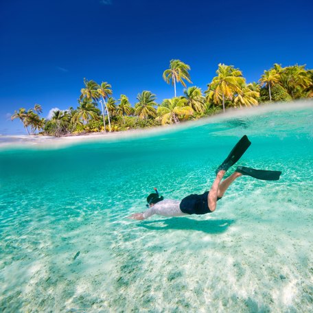 A male charter guest snorkeling in the waters surrounding Tahiti, with palm trees in the background