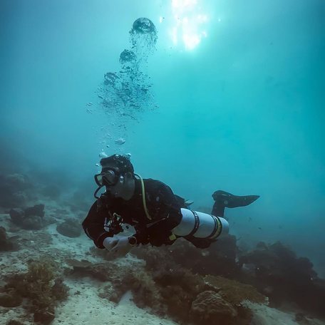 Man scuba diving by the dive site's sloping wall