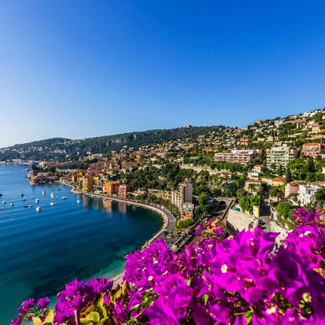 Overview of the Cannes coastline, with purple flowers in the foreground