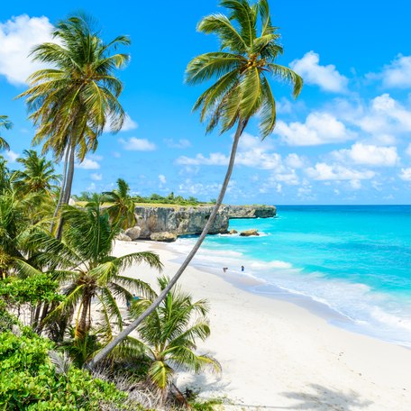 An empty Caribbean beach with palms