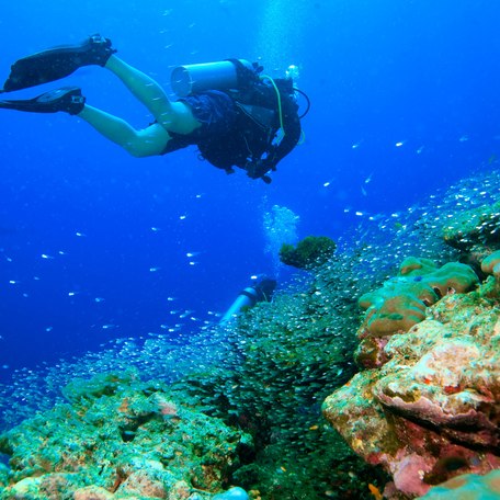 A diver exploring a coral reef in Malaysia