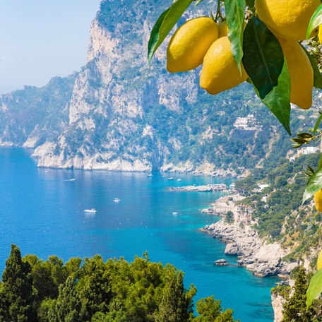 A lemon tree in front of elevated views of the Italian coast