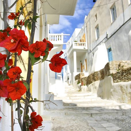 Red flowers adorning white washed walls in a narrow street during a Mykonos yacht charter