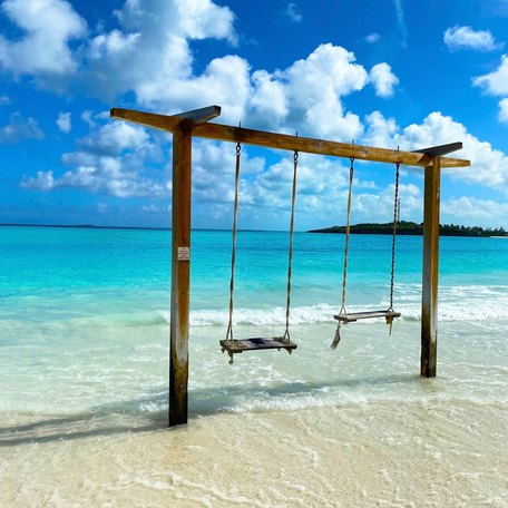 A wooden swing on a beach in the Bahamas
