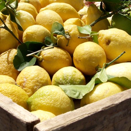 A box full of Sicilian lemons