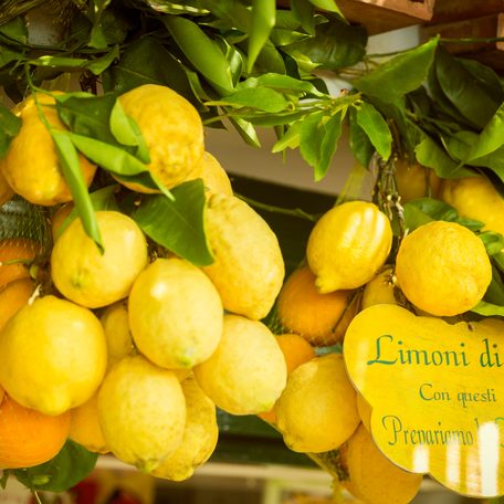 Display of lemons on a table
