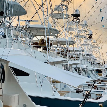 Aft view of a line of sports fishers at the Palm Beach International Boat Show