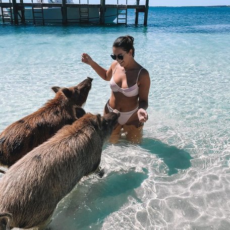 Woman in bikini kneeling with pigs in the waters 