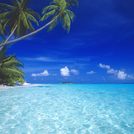 Tropical beach in Maldives, blue lagoon
