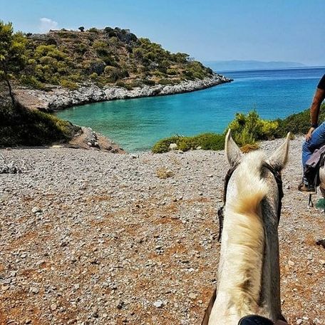 Greece Saronic Islands - Aponisos Horseback Riding