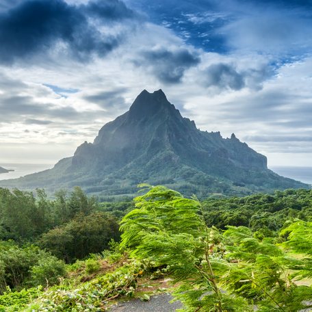Overview of the landscape of Tahiti