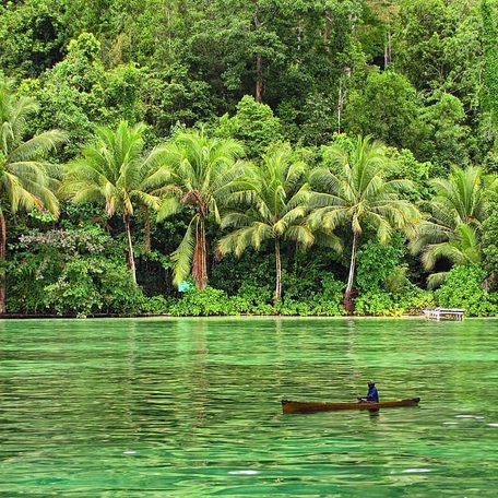 Man in canoe on Kabui Bay's bright green water in front of rainforest
