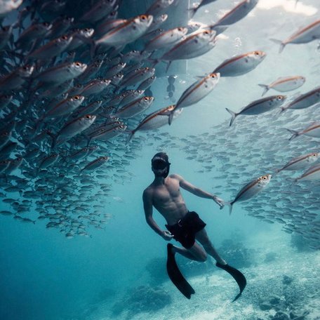 Man snorkeling under huge school of fish 