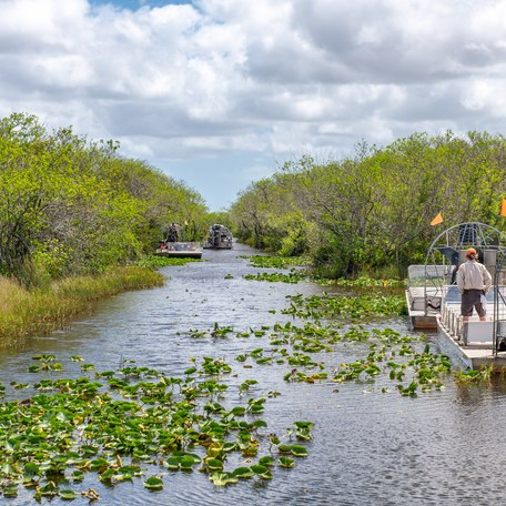 Overview of Everglades National Park with airboat tours underway.