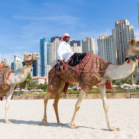 Man offering camel rides on a beach in Dubai
