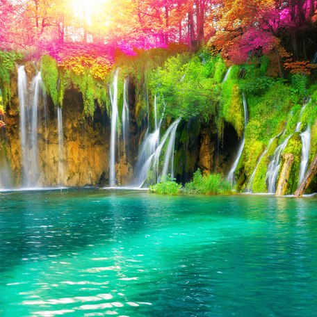 A cluster of small waterfalls and pink floral displays in a national park in Croatia