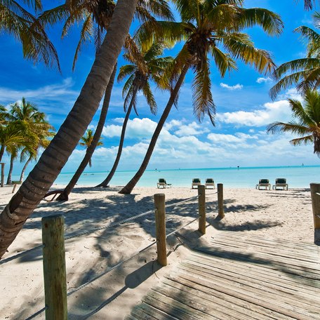 A wooden pathway leading onto a sandy beach with palm trees