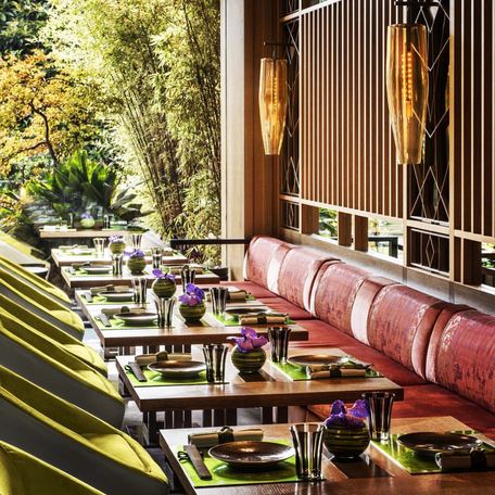 Yoshi restaurant tables