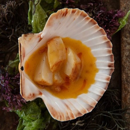 Close-up of the fresh seafood available