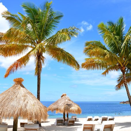 Palm fringed sandy beach with straw huts