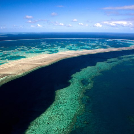 Great Barrier Reef photo 26