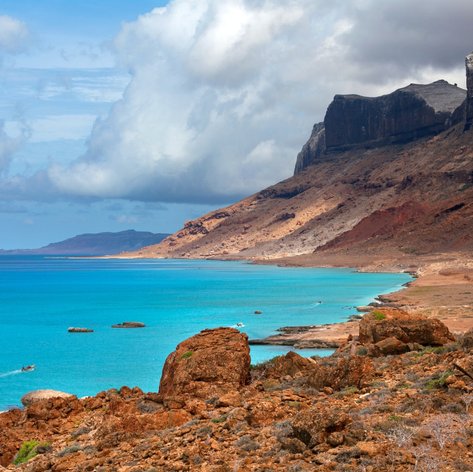 Socotra photo 20