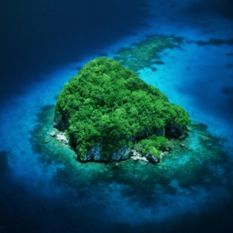 Palau Islands photo 3