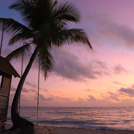 Wooden hut with palm tree and the sea with the sky in beautiful colours in the background 