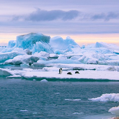 Antarctica photo 44