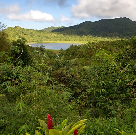 Grenada photo 32