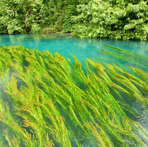 Sivoli River in Papua New Guinea