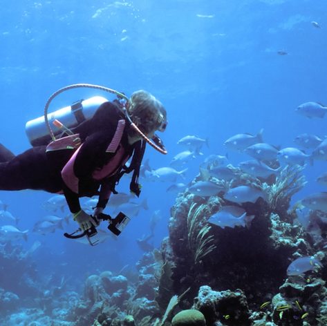 Female diver admiring the bottom of the sea