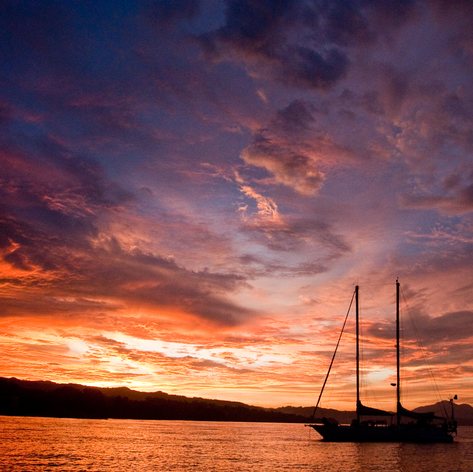 Solomon Islands photo 15