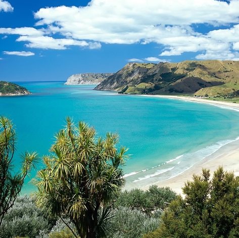 Be Spoilt for Choice for Beaches on a New Zealand Yacht Charter