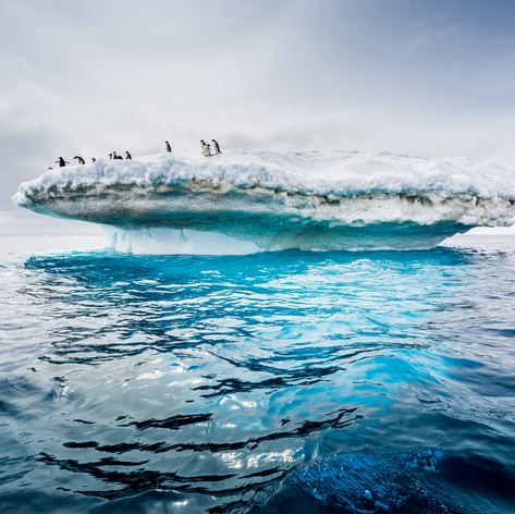 Antarctica photo 62