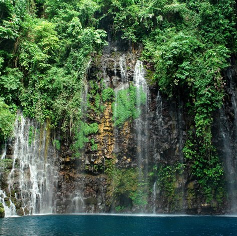 Tropical waterfall in jungle