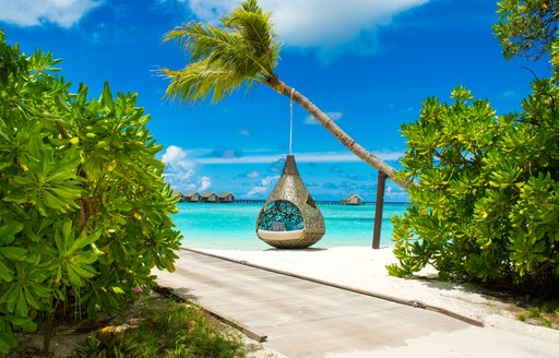 Peering through foliage with a hanging egg seat in a tree, overlooking white sands and azure waters in background.