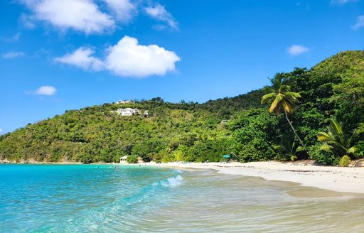 Virgin Islands National Park beach