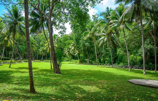 Jamaica - The World Famous Dunn's River Falls & Park 