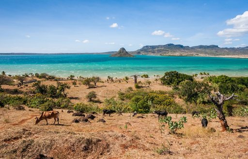 Overview of Madagascar landscape with animals grazing and the sea aft